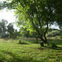 gaio-camping-barril-de-alva-3dmea