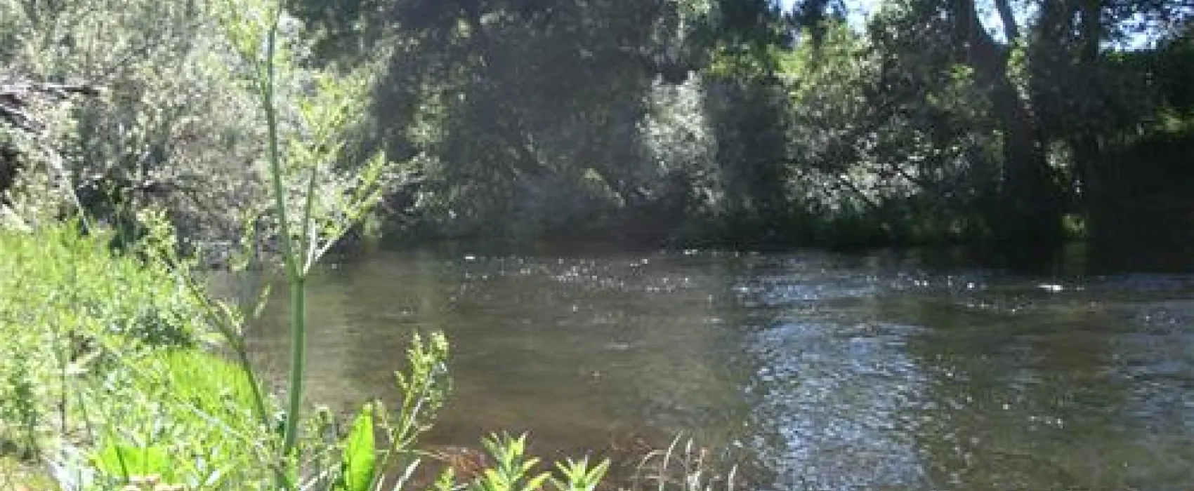 Gaio Camping