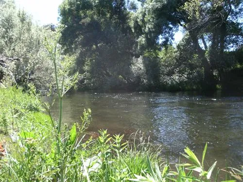 gaio-camping-barril-de-alva-gccgc