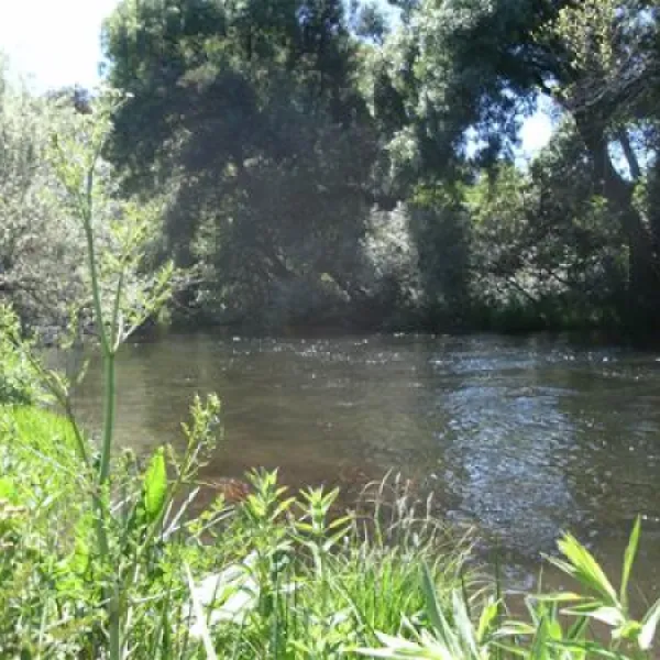 gaio-camping-barril-de-alva-gccgc