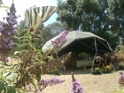 gaio-camping-barril-de-alva-j1t3m