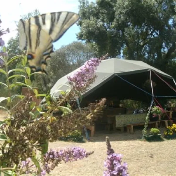 gaio-camping-barril-de-alva-j1t3m