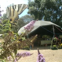 gaio-camping-barril-de-alva-j1t3m