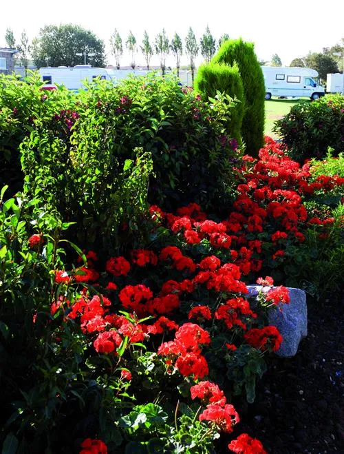 manor-park-holiday-village-hunstanton-hcscg