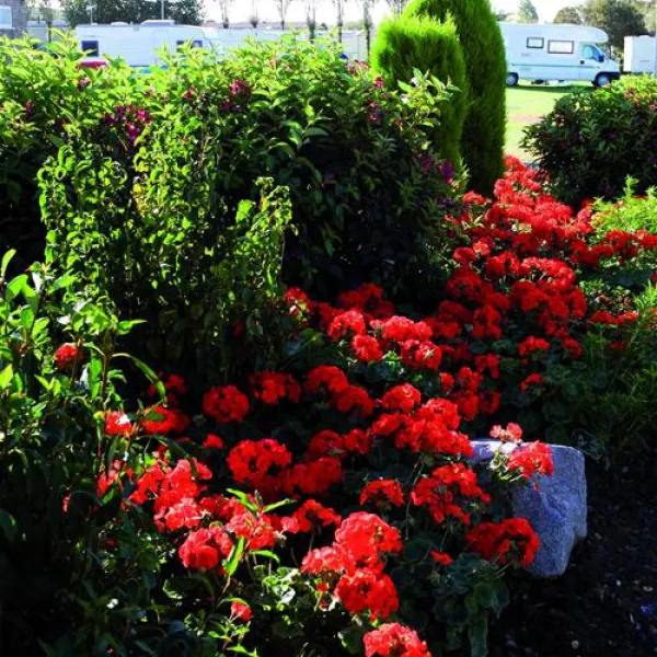 manor-park-holiday-village-hunstanton-hcscg
