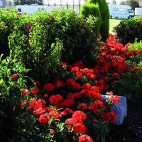 manor-park-holiday-village-hunstanton-hcscg