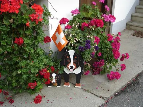 camping-oberei-wilderswilinterlaken-u7jxz