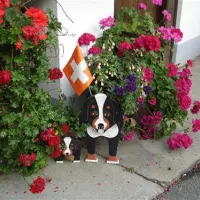 camping-oberei-wilderswilinterlaken-u7jxz