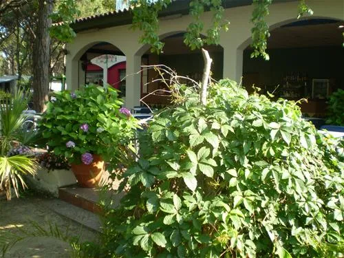 camping-blanes-blanes-69ewd