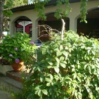 camping-blanes-blanes-69ewd