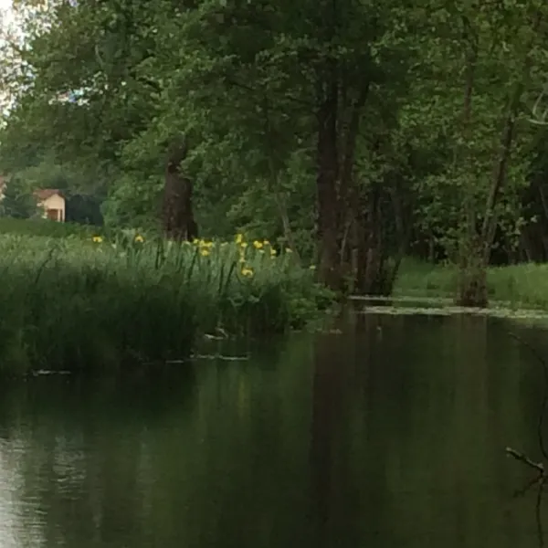 flower-camping-domaine-du-buisson-louvemont-agyzj