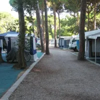 campeggio-riaverde-marina-di-ravenna-9oill