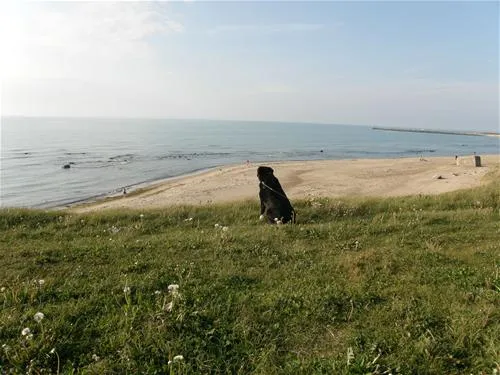 hirtshals-camping-hirtshals-aumnc