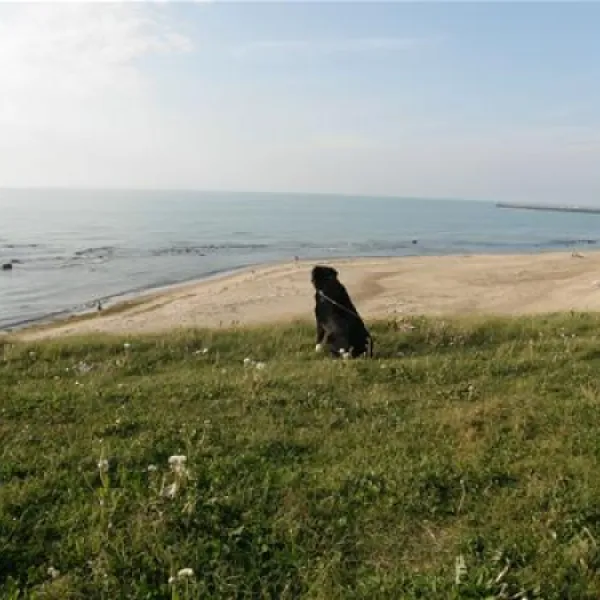 hirtshals-camping-hirtshals-aumnc
