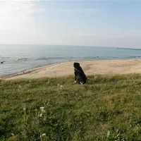 hirtshals-camping-hirtshals-aumnc