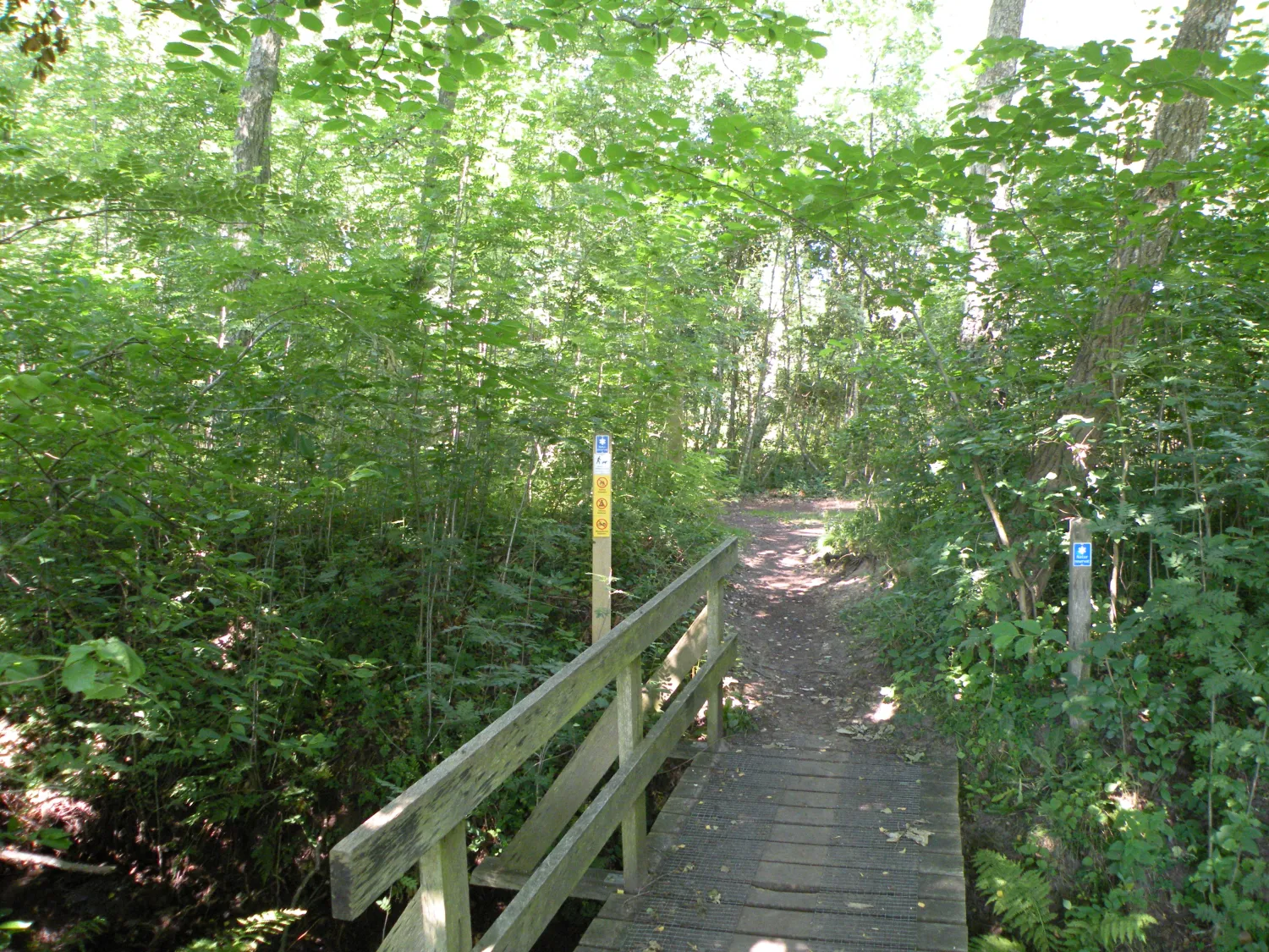 vilshrads-camping-gullbrandstorp-nkuu1