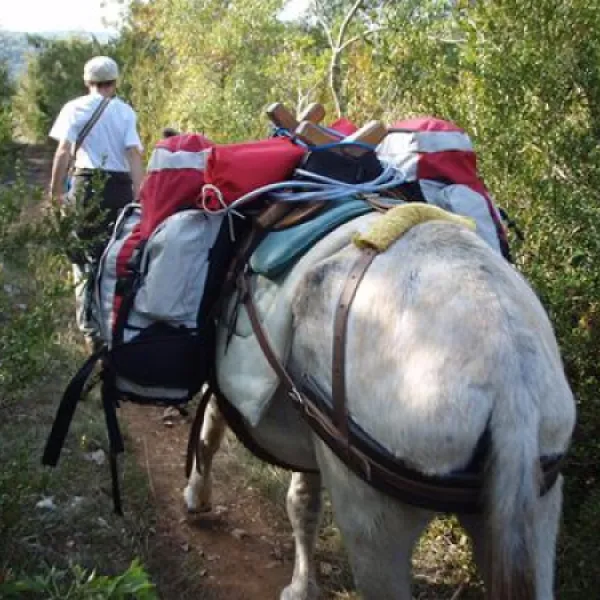 camping-les-cadichons-sauliac-sur-cl-srbld