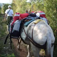 camping-les-cadichons-sauliac-sur-cl-srbld