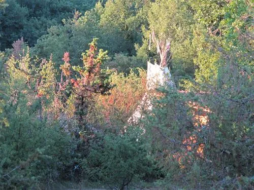 camping-les-cadichons-sauliac-sur-cl-xva7q