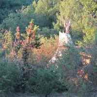 camping-les-cadichons-sauliac-sur-cl-xva7q