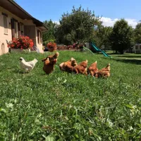 camping-aire-naturelle-le-meyrieux-la-biolle-ftn6v