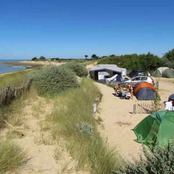 camping-municipal-la-cote-sauvage-ste-marie-de-re-ltwcj