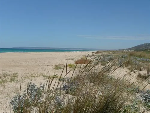 camping-bahia-de-la-plata-zahara-de-los-atunes-vhvff