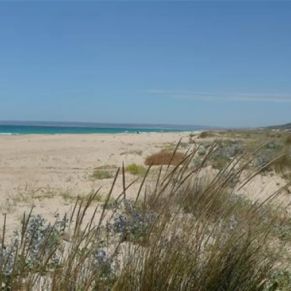 camping-bahia-de-la-plata-zahara-de-los-atunes-vhvff
