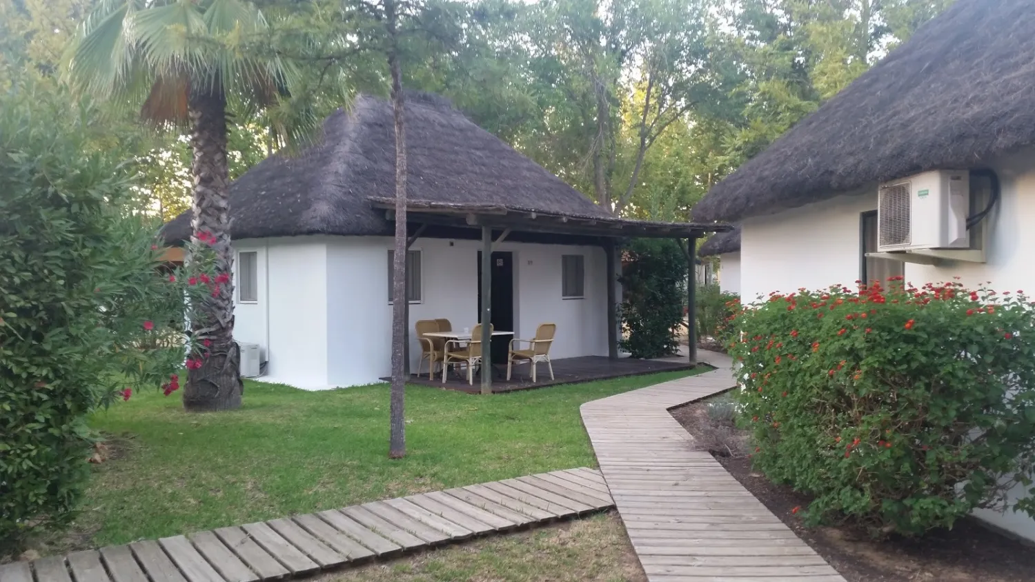 camping-la-aldea-huelva-jo466