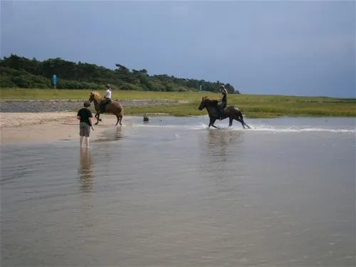 campingplatz-finck-cuxhavensahlenburg-3w4bp