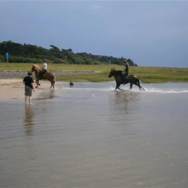 campingplatz-finck-cuxhavensahlenburg-3w4bp