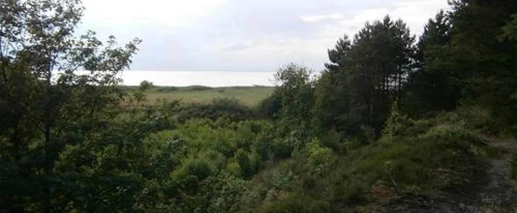 Campingplatz Finck