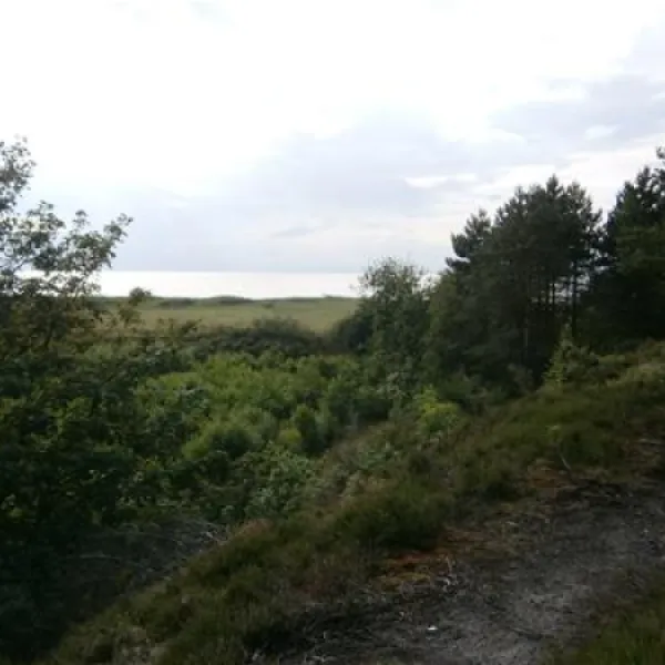 campingplatz-finck-cuxhavensahlenburg-ijf10