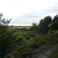 campingplatz-finck-cuxhavensahlenburg-ijf10