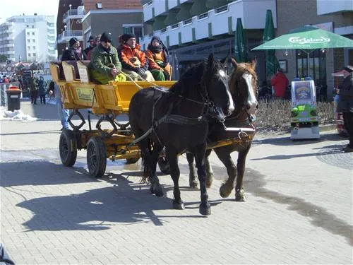 campingplatz-finck-cuxhavensahlenburg-mbxjt