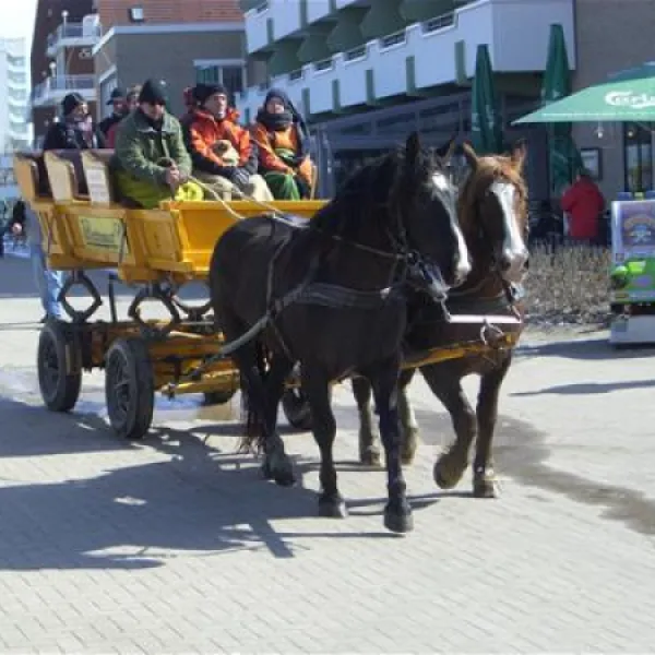 campingplatz-finck-cuxhavensahlenburg-mbxjt