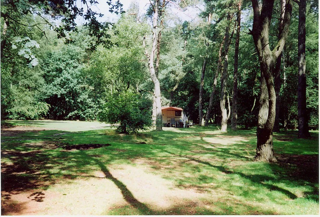 natuurkampeerterrein-landgoed-quadenoord-renkum-9pyn7