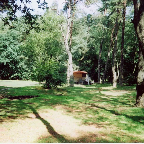 natuurkampeerterrein-landgoed-quadenoord-renkum-9pyn7
