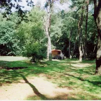 natuurkampeerterrein-landgoed-quadenoord-renkum-9pyn7