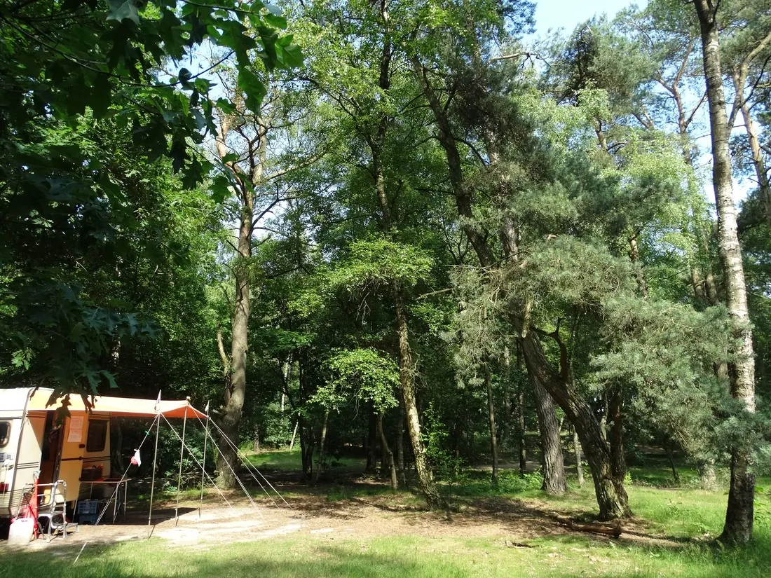 natuurkampeerterrein-landgoed-quadenoord-renkum-guqkd