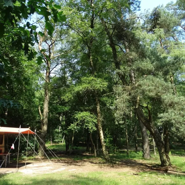 natuurkampeerterrein-landgoed-quadenoord-renkum-guqkd