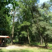natuurkampeerterrein-landgoed-quadenoord-renkum-guqkd