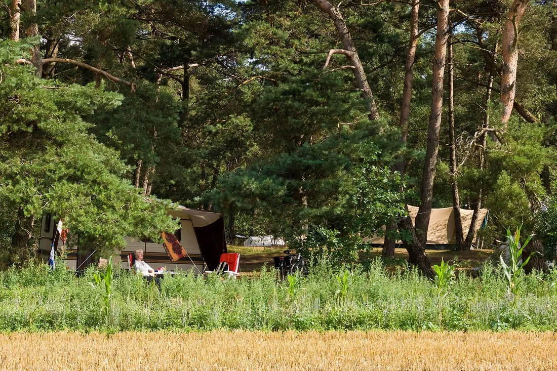 natuurkampeerterrein-landgoed-quadenoord-renkum-rcstl