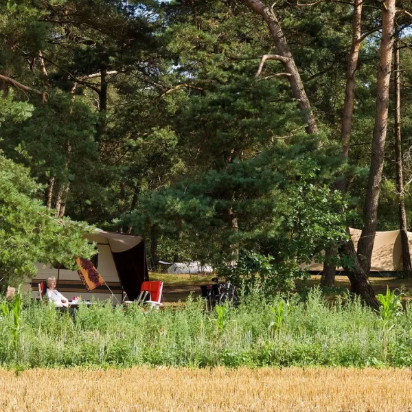 natuurkampeerterrein-landgoed-quadenoord-renkum-rcstl
