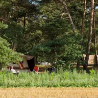 natuurkampeerterrein-landgoed-quadenoord-renkum-rcstl