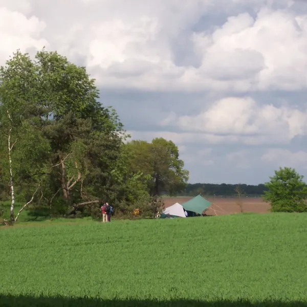 natuurkampeerterrein-landgoed-quadenoord-renkum-s33kr