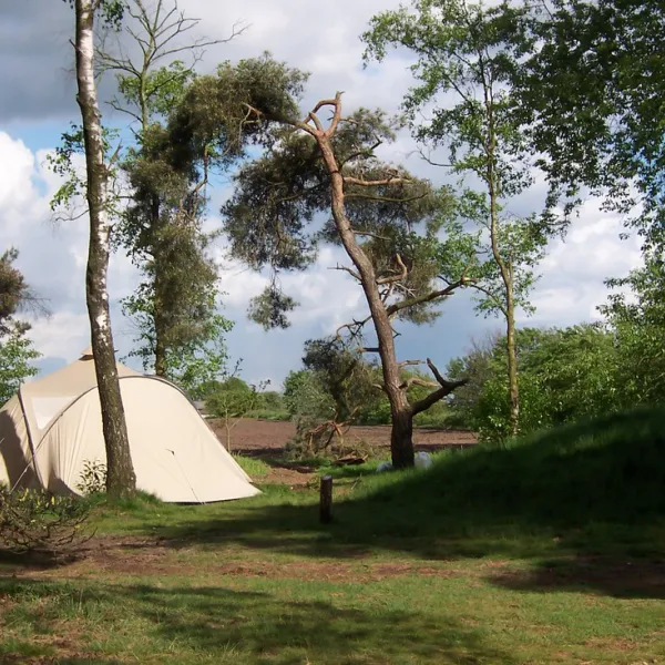natuurkampeerterrein-landgoed-quadenoord-renkum-xql5h