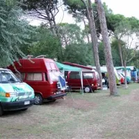 romea-family-camping-casal-borsetti-1qpko