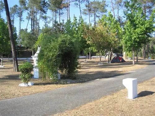 parque-de-campismo-municipal-de-arganil-sarzedo-fk21r
