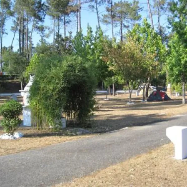 parque-de-campismo-municipal-de-arganil-sarzedo-fk21r